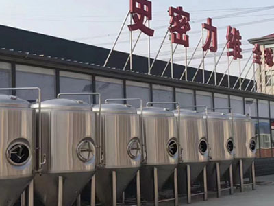 思茅精酿啤酒设备厂—如何判断精酿啤酒设备的密封件需要更换？
